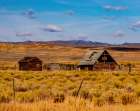 USA-Utah-old wooden barn and shed along highway 39 west of Woodruff Art Print